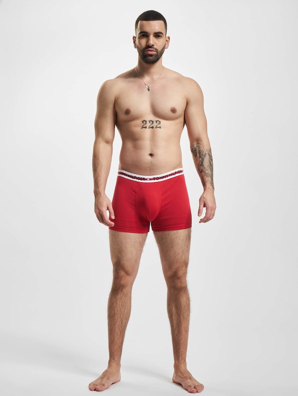 Underwear Trunk-3