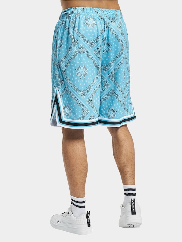 KK Varsity Paisley Mesh -1