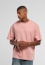 rose_184164