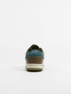 Dunk Low Nh-5