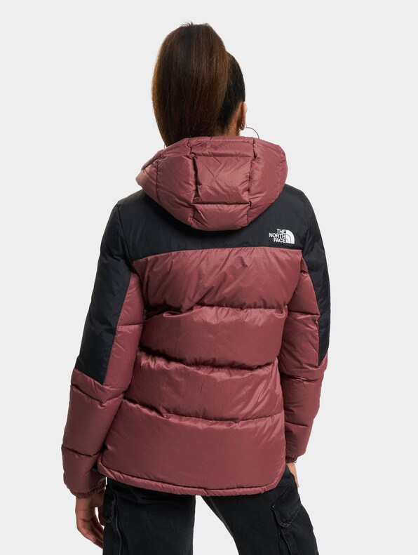 The North Face Diablo Puffer Jacket Wild-1