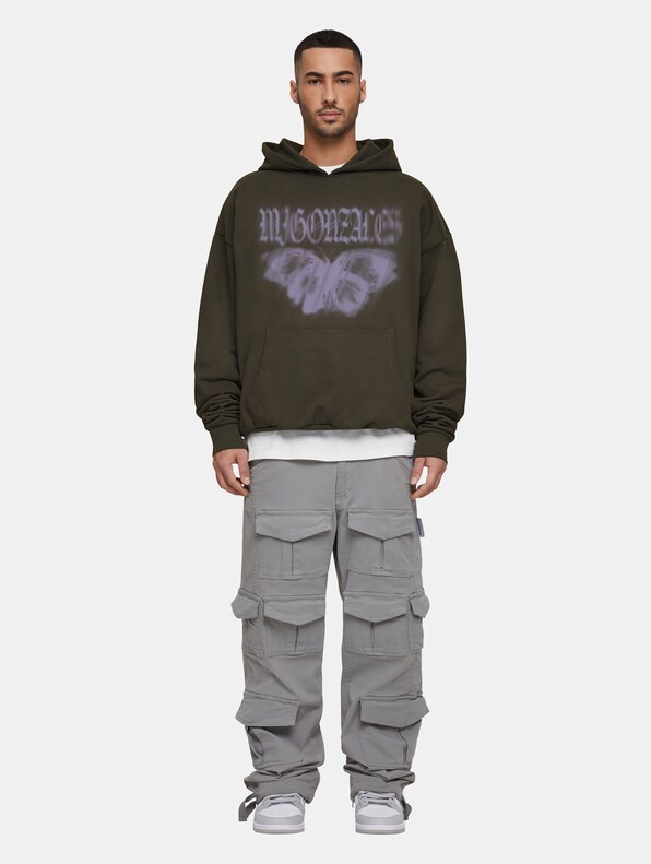 BUTTERFLY ILLUSION-2