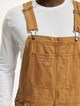 Duck Canvas SW-3