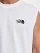 Oversize Simple Dome-4