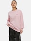 rose_136507