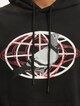 Global Pigeon-3