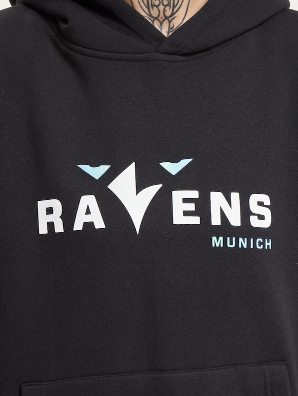 Munich Ravens 2-8