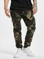 camouflage_7106
