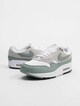 Air Max 1 -0