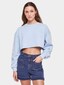 blue_3877