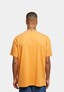 orange_36540