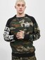 camouflage_15660