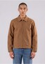 brown_195678