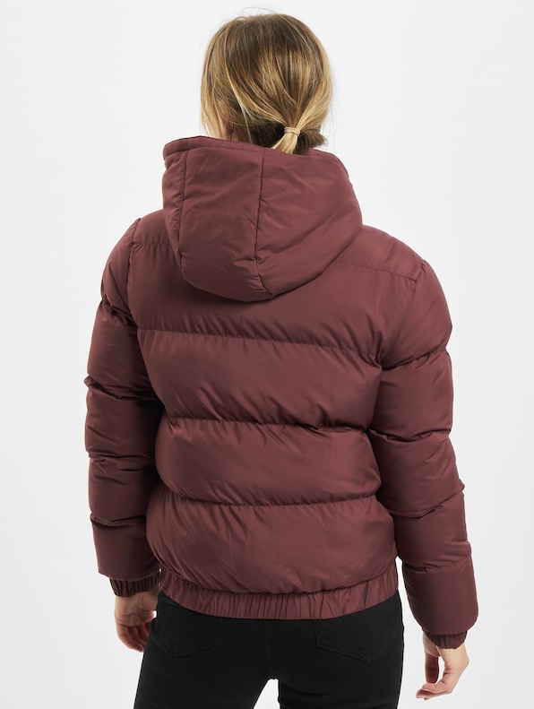 Ladies Hooded -1