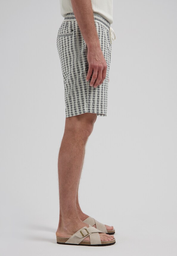 Logan Winner Stripe Short-2