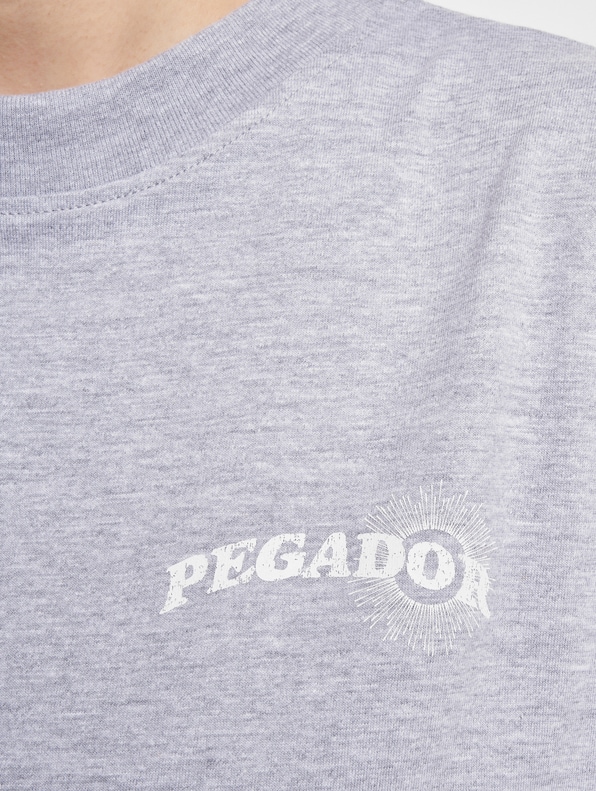 Pegador Pall Heavy Oversized T-Shirt-4