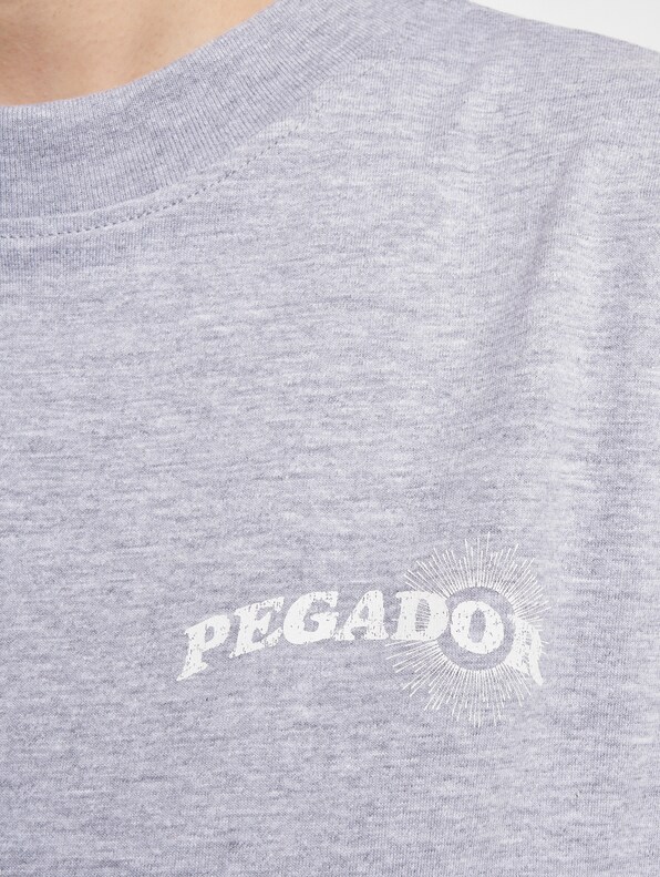 Pegador Pall Heavy Oversized T-Shirt-4