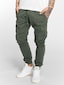 olive_32259