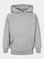 grey_2297