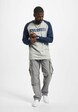 Raglan -4