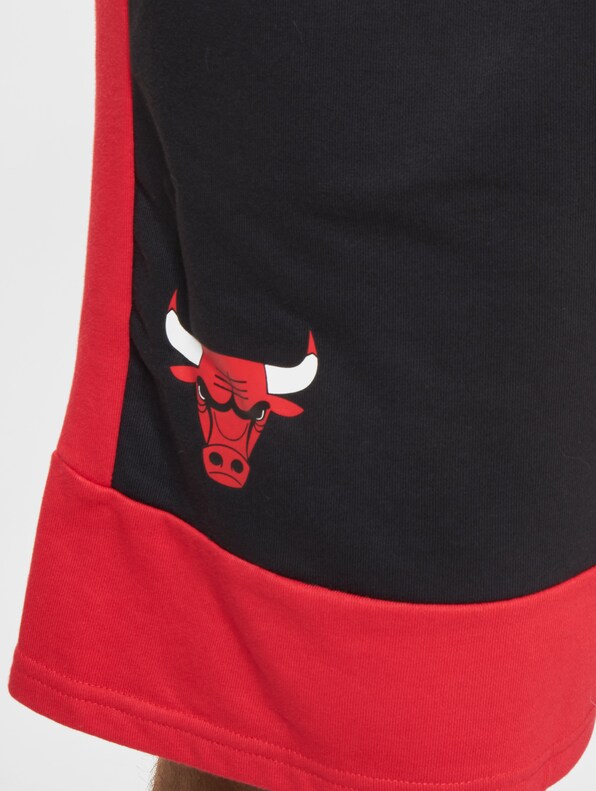 Chicago Bulls NBA Colour Block-5