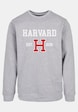 Harvard University - Est 1636 -2