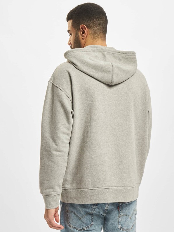 Levis Relaxed Graphic Hoodie-1