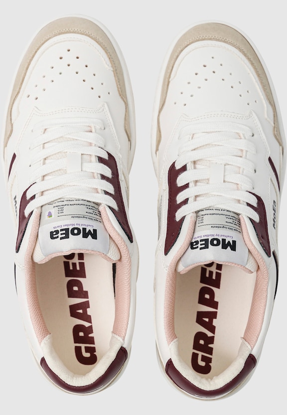 GEN1 - GRAPES -2