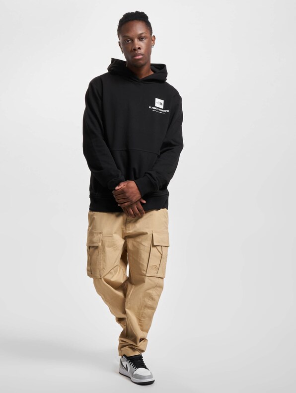 The North Face Coordinates Hoodie-6