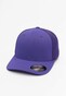 violet_41467