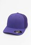 violet_41467