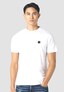 white_149529