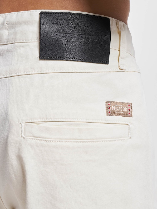 Pegador Cielo Chino Shorts-3