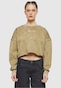 olive_155534
