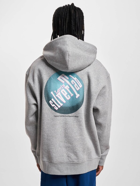 Levis Relaxed Graphic Hoodie-1