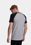 grey_59669