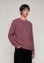 violet_206239