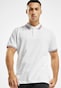 white_8702