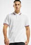 white_8702