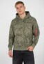 camouflage_210528