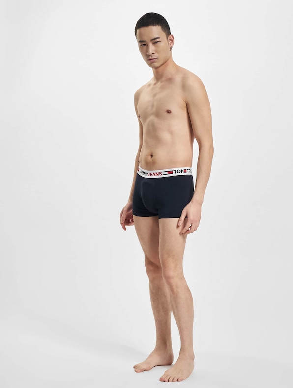 Trunk -3