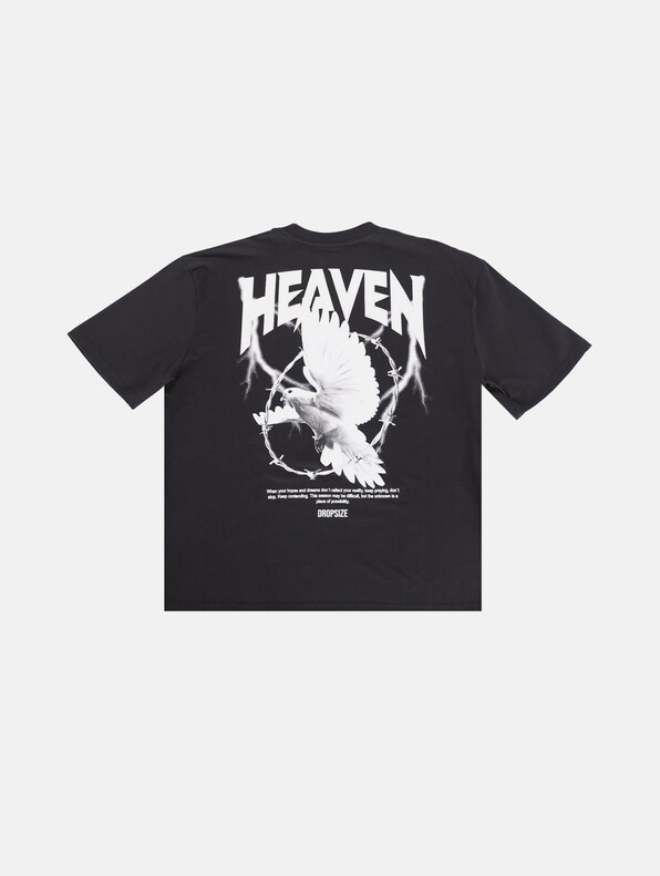 HEAVY OVERSIZED HEAVEN DOVE-1