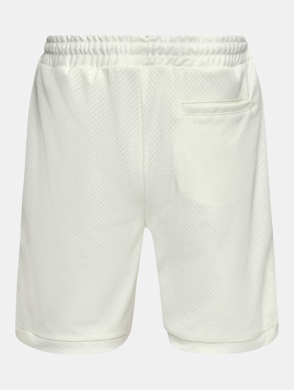 Dropsize V2 Mesh Shorts-5