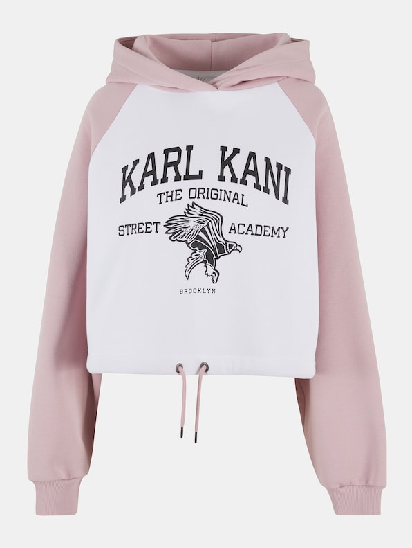 Woven Signature Street Academy Crop Raglan -4