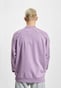 violet_25276