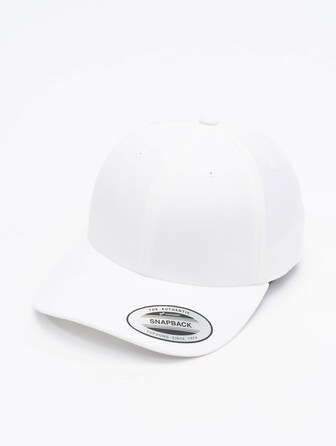 Premium Curved Visor 
