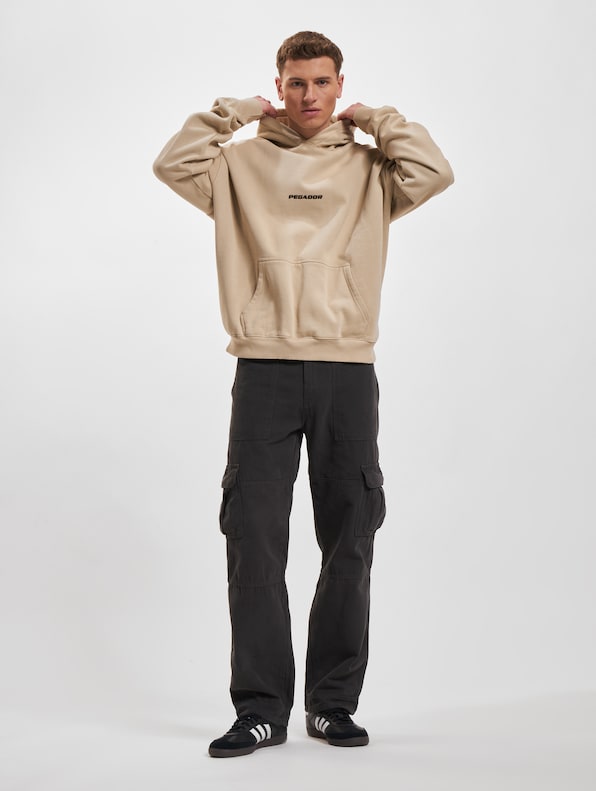 Pegador Colne Logo Oversized Hoodies-6