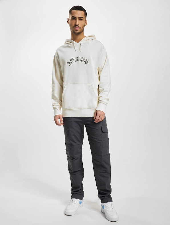 Dickies West Vale Hoodie-5