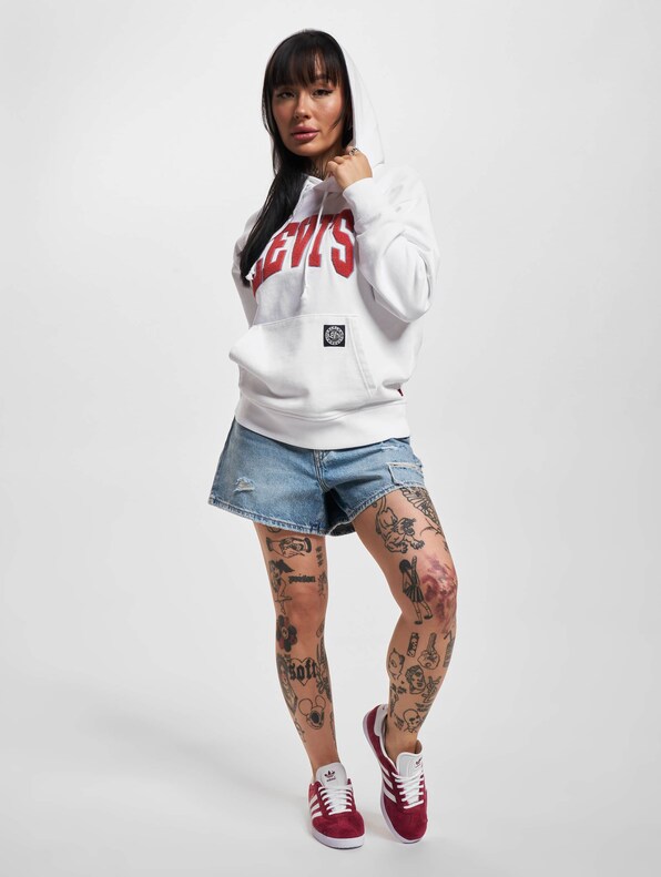 Levis Graphic Standard Hoodie-5