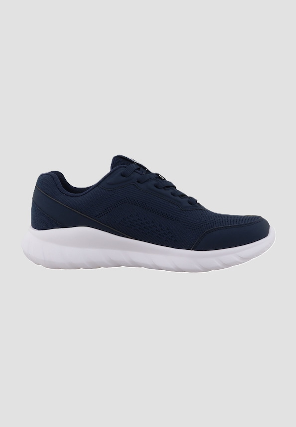 Laurus-1